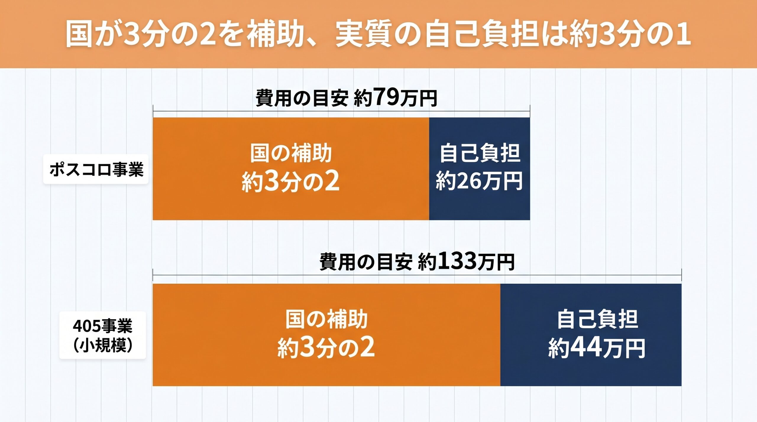 国が3分の2を補助、実質の自己負担は約3分の1の料金イメージ図